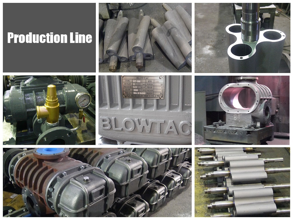 Roots Blower production line