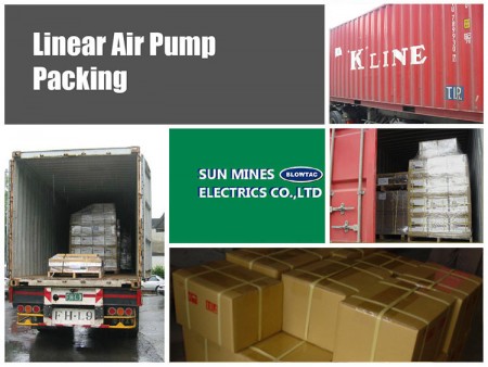 Container / CFS Packing