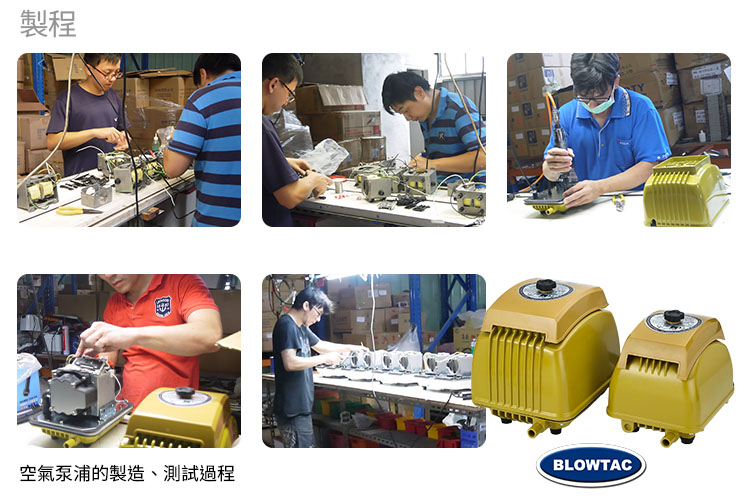 Linear Air Pumps production line